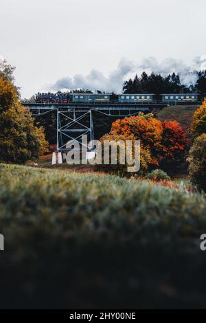 Vertikale Aufnahme eines Zuges, der die Brücke überquert, in einer herbstlichen Landschaft in Deutschland Stockfoto