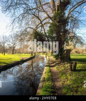 Entlang des Wandle River Trail in Beddington Park, Hackbridge, Wallington, England Stockfoto