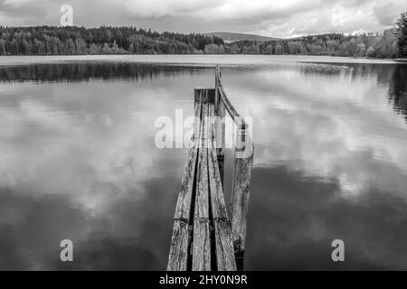 Schwarz-Weiß-Bild des alten hölzernen Pier über der Oberfläche des Teiches in der tschechischen Natur während des bewölkten Tages mit einem feinen Regen. Stockfoto