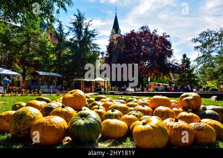 Vertikale Aufnahme von mehreren Kürbissen, die draußen in der Stadt für die Halloween-Feier auf dem Boden platziert wurden Stockfoto