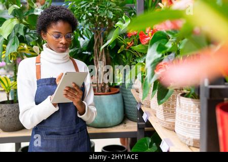 Konzentrierte afroamerikanische weibliche Floristin in Schürze Schreiben mit Stift auf Tablette während der Arbeit in Blumengeschäft in der Nähe von Topfblumen Stockfoto