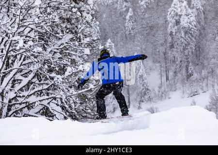 Rückansicht eines nicht erkennbaren männlichen Snowboarders in warmer Kleidung, einer Brille und einer Action-Kamera auf dem Helm, der auf einer verschneiten Straße in Winterwäldern in Bergen unterwegs ist Stockfoto