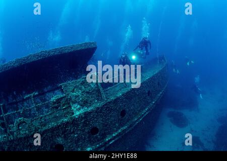 Professionelle Taucher mit Taschenlampe schwimmen in der Nähe von alten versunkenen Schiff mit Moos auf dem Boden der Tiefsee mit klarem Wasser bedeckt Stockfoto