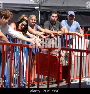 Ariel Winter (Mitte) und Shanelle Grey (ganz links) beim Einkaufen auf dem Studio City Farmers Market, Studio City, Kalifornien. Stockfoto