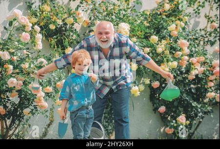 Großvater und Enkel genießen im Garten mit Rosenblüten. Großvater im Gespräch mit dem Enkel. Frühling und Sommer. Kleiner Junge und Vater vorbei Stockfoto