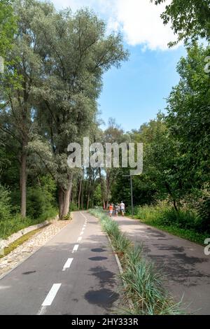 KHARKIV, UKRAINE - 3. AUGUST 2021: Das sind moderne Fußgängerzonen und Radwege im Stadtpark Sarzhin Yar. Stockfoto