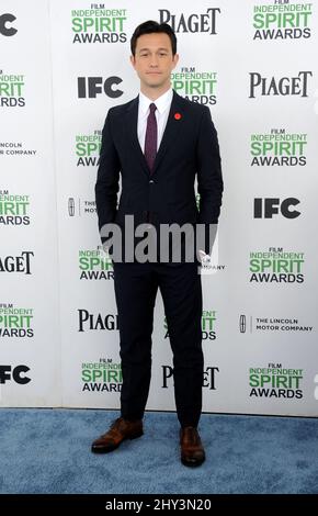 Joseph Gordon-Levitt bei den Film Independent Spirit Awards 2014 Stockfoto