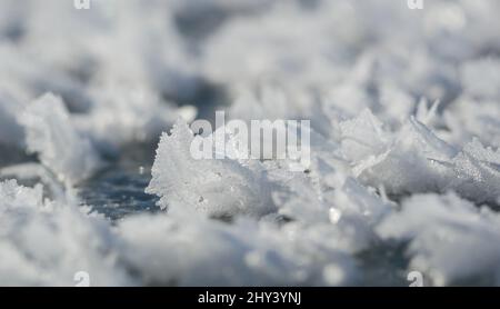 Selektiver Fokus auf Schneeflocken Stockfoto
