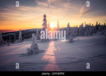 Magischer Sonnenaufgang über dem Dreisesselberg im Winter, Deutschland - Tschechische Republik Stockfoto