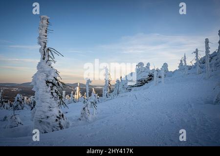 Verschneite Piste des Dreisessels an der Grenze zwischen Deutschland und Tschechien Stockfoto