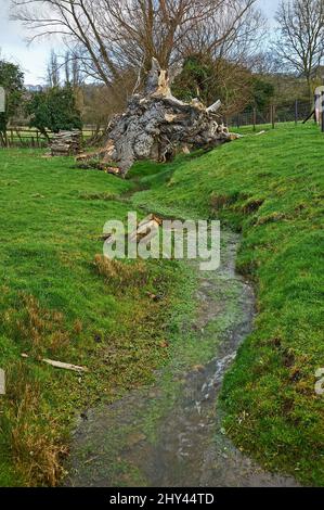 Klares Wasser eines kleinen Wiesenbaches fließt über die Felder von Fish Hill in Richtung der Cotsowld-Stadt Broadway Stockfoto