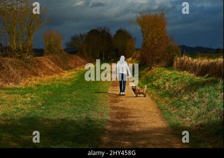 Teenager-Junge in grauem Kapuzenoberteil und Jeans, der unter stürmischem Himmel den Cairn Terrier-Hund entlang des Stratford Greenway führt Stockfoto