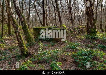 Motorblock aus dem frühen 20.. Jahrhundert, der in Beeley Wood, Oughtibridge, in der Nähe von Sheffield, gefunden wurde, um Waggons aus inzwischen verlassenen Minenanlagen für Gantister zu schleppen. Stockfoto