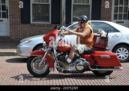 Mann auf seinem Harley Davidson Motorrad, der die Straße entlang fährt, mit seinem Hund, der hinten mitfährt Stockfoto