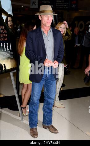 Ed Harris bei der Vorführung von „Oro“, die am 21. August 2014 im Landmark Theatre in Los Angeles, CA, USA, stattfand. Stockfoto