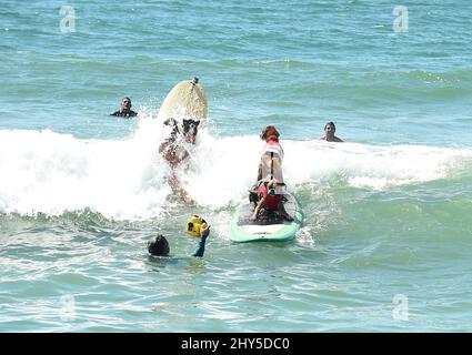 Hundekonkurrenten während des jährlichen „Unleashed by Petco Surf City Surf Dog“-Wettbewerbs 6. in Huntington Beach in Kalifornien, USA. Stockfoto