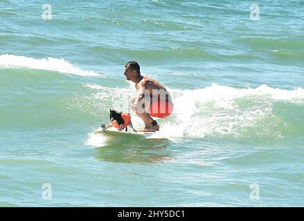 Hundekonkurrenten während des jährlichen „Unleashed by Petco Surf City Surf Dog“-Wettbewerbs 6. in Huntington Beach in Kalifornien, USA. Stockfoto