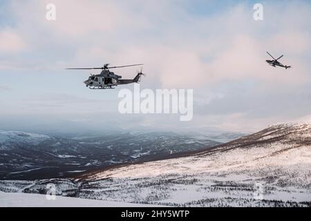 Ein US Marine Corps Bell UH-1Y Venom (links) und Bell AH-1Z Viper (rechts) mit Marine Light Attack Helicopter Squadron 269 (HMLA-269), 2. Marine Aircraft Wing, führen vor der Übung Cold Response 22 in Setermoen, Norwegen, 7. März 2022, eine enge Luftunterstützung durch. Übung Cold Response 22 ist eine alle zwei Jahre stattfindende norwegische nationale Bereitschafts- und Verteidigungsübung, die in ganz Norwegen stattfindet und an der jeder seiner Militärdienste, darunter 26 mit der Organisation des Nordatlantikvertrags (NATO) verbündete Nationen und regionale Partner, teilnehmen. (USA Marine Corps Foto von Sgt. William Chockey) Stockfoto