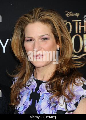 Ana Gasteyer bei der Weltpremiere „Into the Woods“ im Ziegfeld Theater in New York, USA. Stockfoto