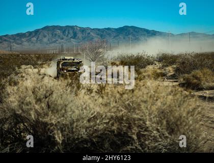 Green Berets manövrieren mit der 5. Special Forces Group (Airborne) am 11. März 2022 in der ersten Runde der Mint 400 in der Nähe von Jean, Nevada, ein Bound Mobility Vehicle 1,1. Das jährliche Offroad-Rennen in der amerikanischen Wüste bietet Green Berets einen einzigartigen Veranstaltungsort, um ihre erprobteste Fernwüstenmobilität über 200 Meilen der Wüste von Nevada zu testen. (USA Armeefoto von Sgt. 1.-Klasse Iman Broady-Chin) Stockfoto