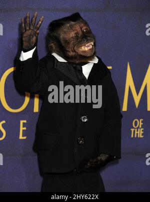 Monkey Crystal aka Dexter bei der Premiere von „Night at the Museum: Secret of the Tomb“ im Ziegfeld Theatre in New York, USA. Stockfoto