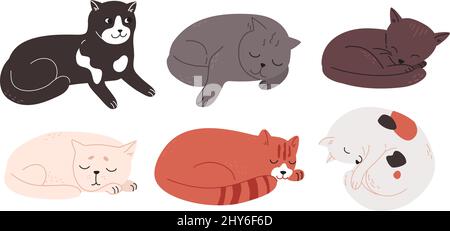 Mehrfarbige Katzen verschiedener Rassen liegen in Ruhe. Müde charmante Kätzchen schlafen. Niedliche Tiere in einem flachen Stil gezeichnet. Farbige Vektordarstellung, Doodle isoliert auf weißem Hintergrund Stock Vektor