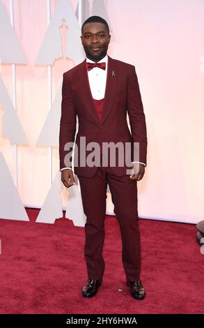 David Oyelowo nahm an den Annual Academy Awards 87. im Dolby Theater in Los Angeles, USA, Teil. Stockfoto