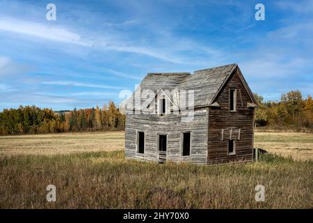 Altes, verlassene Holzgehöft/Bauernhaus in Alberta, Kanada. Stockfoto
