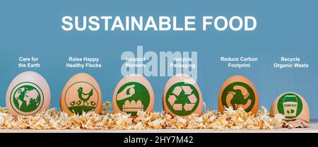 Nachhaltige Lebensmittelkennzeichnungen und Symbole auf Eiern, umweltbezogene und ethische Verbraucherinformationen, Sorge für die Erde, Respekt für die Mitarbeiter, Recycling, Abfallreduzierung, Stockfoto