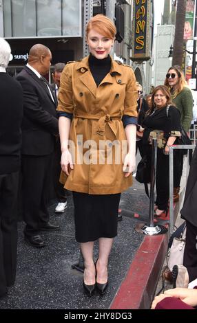 Bryce Dallas Howard nimmt an der Zeremonie zu Ehren von Ron Howard mit seinem 2.-Sterne-Stern auf dem Hollywood Walk of Fame Teil Stockfoto