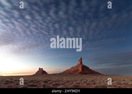 UT00901-00..... UTAH - Rooster Butte und Setting Hen Butte bei Sonnenaufgang im Tal der Götter, trägt Ears National Monument. Stockfoto