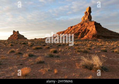 UT00905-00..... UTAH - Rooster Butte und Setting Hen Butte bei Sonnenaufgang im Tal der Götter, trägt Ears National Monument. Stockfoto