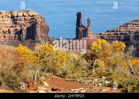 UT00912-00..... UTAH - Cottonwood Bäume und Formation namens De Gaulle und seine Tropops im Tal der Götter, trägt Ears National Monument. Stockfoto