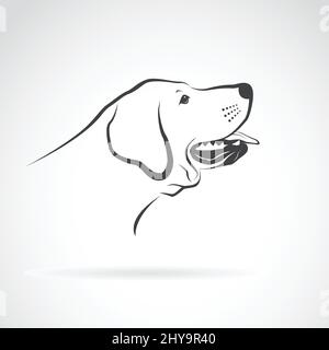 Vektor eines labrador Hundekopfes auf weißem Hintergrund. Haustier. Tiere. √ Stock Vektor