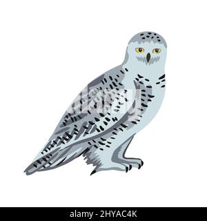 Vektor Cartoon polare Eule auf weißem Hintergrund isoliert. Stock Vektor