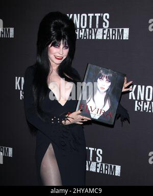 Elvira kommt für Knott's Scary Farm's Black Carpet Event 2016 an, das im September 30. 2016 in Knott's Berry Farm, Los Angeles, stattfand. Stockfoto