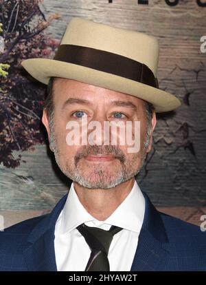 Fisher Stevens bei der Premiere von „Before the Flood“ in Los Angeles Stockfoto