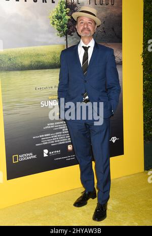 Fisher Stevens bei der Premiere von „Before the Flood“ in Los Angeles Stockfoto