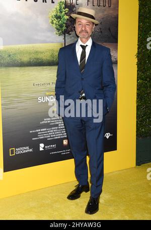 Fisher Stevens bei der Premiere von „Before the Flood“ in Los Angeles Stockfoto
