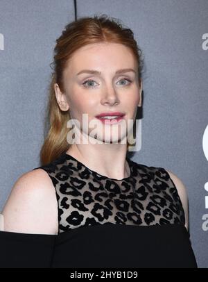 Bryce Dallas Howard nimmt an den jährlichen Hollywood Film Awards 20. im Beverly Hilton Hotel am Sonntag, den 6. November 2016, in Beverly Hills, Kalifornien, Teil. Stockfoto