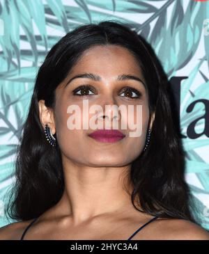 Freida Pinto nimmt an der zehnten jährlichen Women in Film Pre-Oscar Cocktail Party von Max Mara und BMW auf der Nightingale Plaza in Los Angeles, USA, Teil Stockfoto