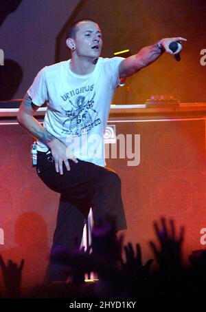 18. Februar 2005 Anaheim, Ca. Chester Bennington von Linkin Park 'Music for Relief: Rebuilding South Asia' Benefizkonzert am Arrowhead Pond Stockfoto