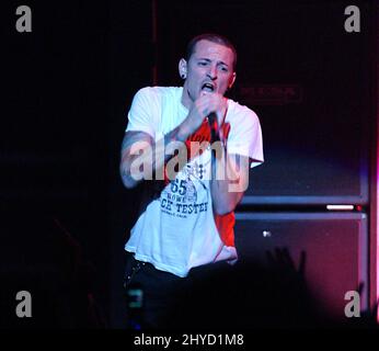 18. Februar 2005 Anaheim, Ca. Chester Bennington von Linkin Park 'Music for Relief: Rebuilding South Asia' Benefizkonzert am Arrowhead Pond Stockfoto