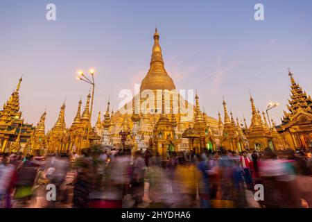 Eine Menge Leute vor der vergoldeten und lit Shwedagon Pagode in Yangon, Myanmar, in der Morgendämmerung. Stockfoto