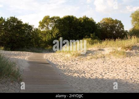 Holzweg an einem Strand in Pärnu, Estland, an einem sonnigen Tag im Sommer. Stockfoto