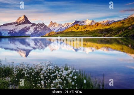 Toller Blick auf die Berner Bergkette oberhalb des Bachalpsees. Dramatische und malerische Szene. Beliebte Touristenattraktion. Ort Ort Schweizer alpen, Grindelwald Stockfoto