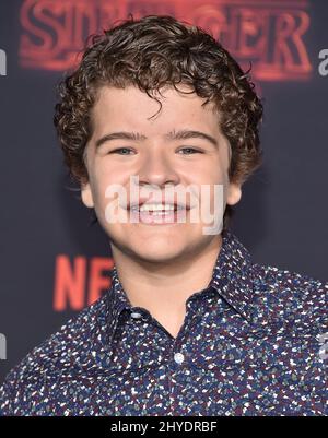 Gaten Matarazzo bei Netflix's Stranger Things 2 Premiere Event Stockfoto