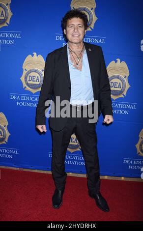 Steven Bauer nimmt an der Gala der DEA Educational Foundation 2017 Teil Stockfoto