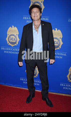 Steven Bauer nimmt an der Gala der DEA Educational Foundation 2017 Teil Stockfoto