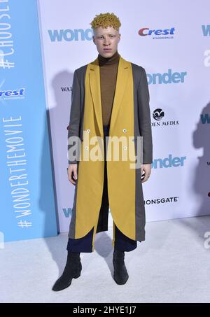 Shaun Ross bei der Premiere von Wonder in Westwood, Kalifornien Stockfoto